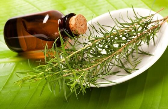 Aceite de árbore do té